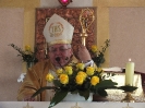 biskup 2016-7